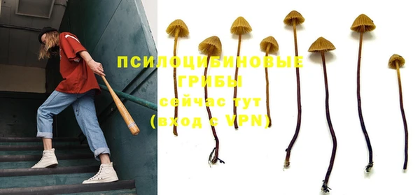 мяу мяу кристалл Покачи