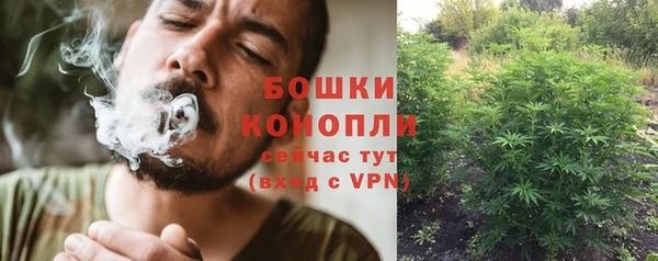 мяу мяу кристалл Покачи