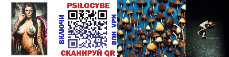 гидра онион  купить наркоту  Барыш  Галлюциногенные грибы Psilocybe 