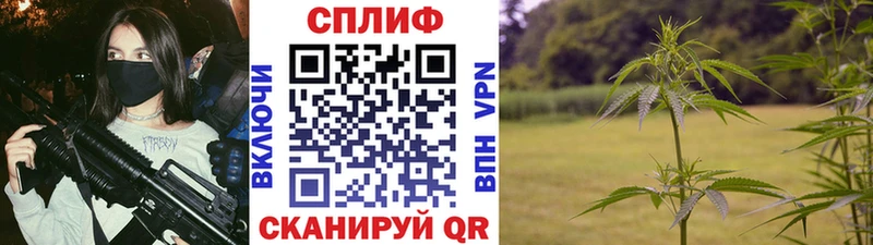 Марихуана THC 21%  закладки  МЕГА сайт  Барыш 